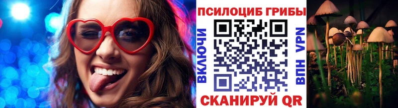 Галлюциногенные грибы MAGIC MUSHROOMS  цены   Глазов 