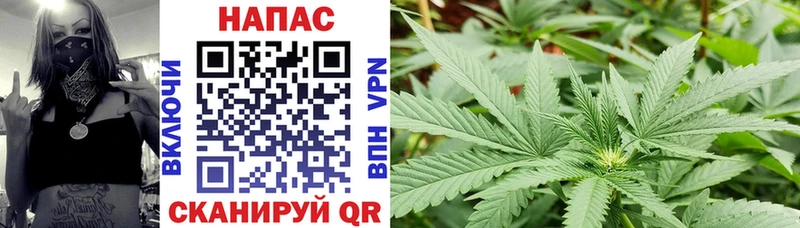 Бошки марихуана LSD WEED  купить закладку  Глазов 